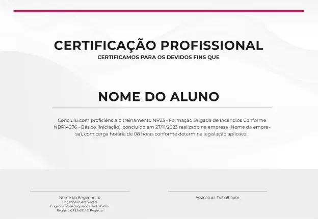 Certificado profissional da Sistema Escudo