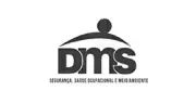 Logo da DMS